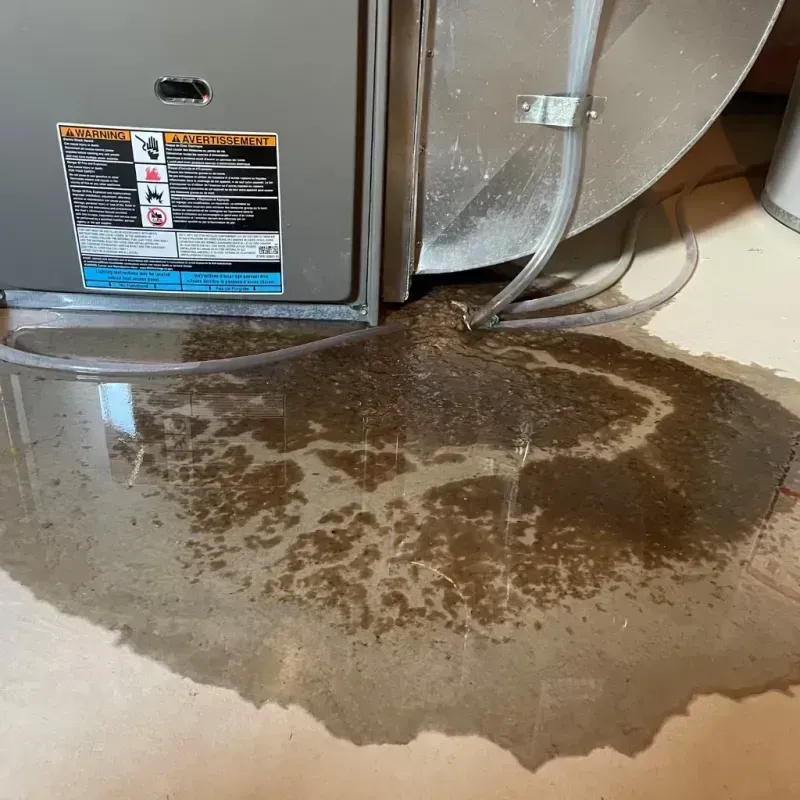 Appliance Leak Cleanup in Clark County, ID